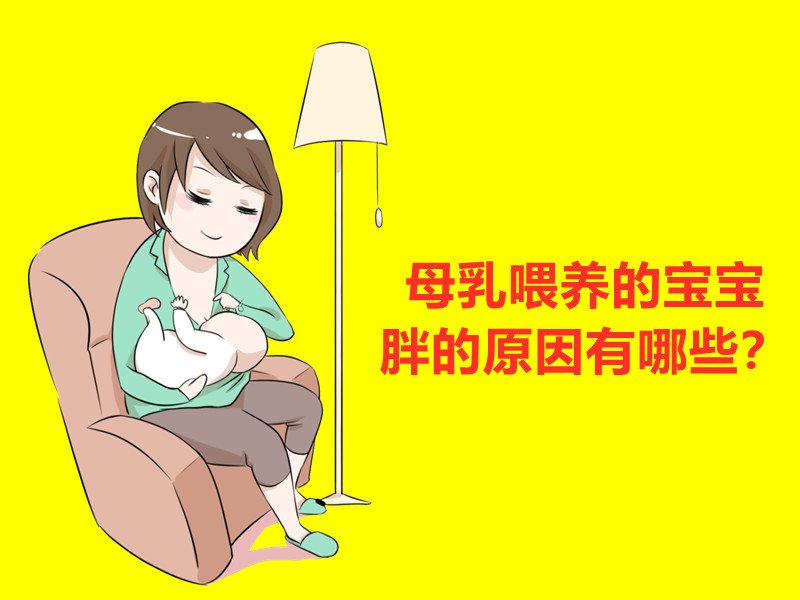 母乳喂养的宝宝肥胖原因有哪些?西安月嫂育婴师告诉您
