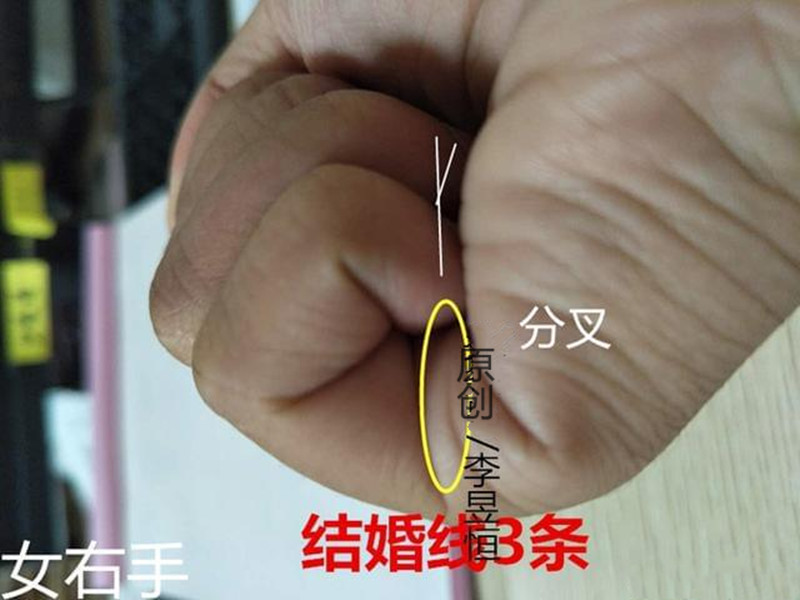 手相|感情线|结婚_新浪新闻