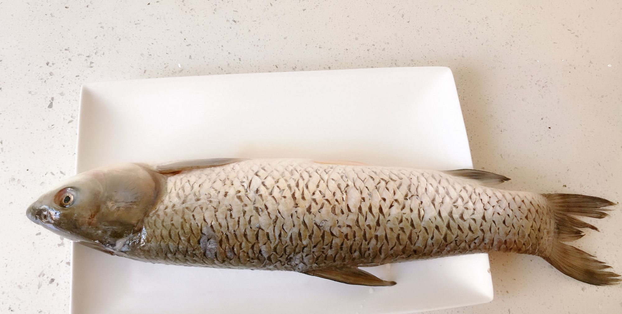 西红柿酸汤草鱼片