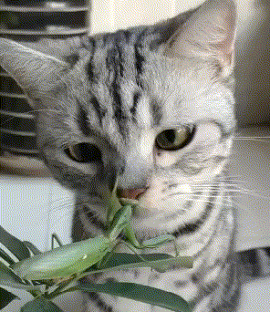 搞笑GIF图：当男人看到美女时，一切病都好了休闲区蓝鸢梦想 - Www.slyday.coM