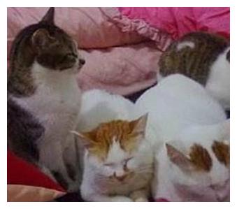 女子上班忘了关电热毯,火急火燎赶回家,推门一看:真是瞎操心休闲区蓝鸢梦想 - Www.slyday.coM 女子上班忘了关电热毯,火急火燎赶回家,推门一看:真是瞎操心休闲区蓝鸢梦想 - Www.slyday.coM