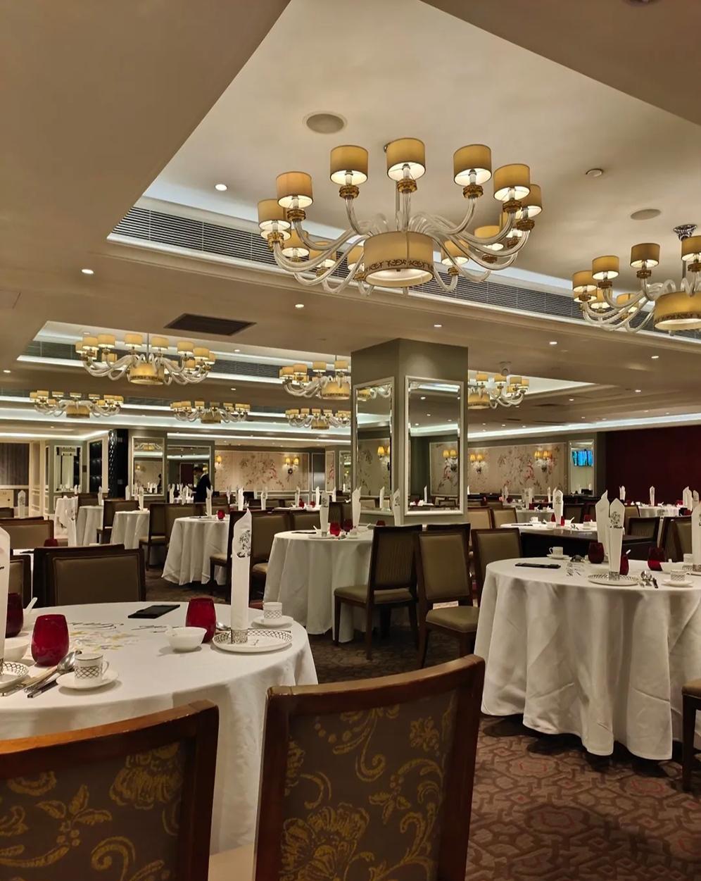 超高人气粤菜餐厅,精致而不失典雅,老牌又不缺新意,猜是哪家?