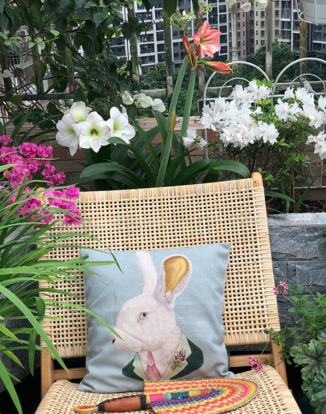 小区一户人家，院子里种的花太美了，大家见了都说真想搬进去住休闲区蓝鸢梦想 - Www.slyday.coM