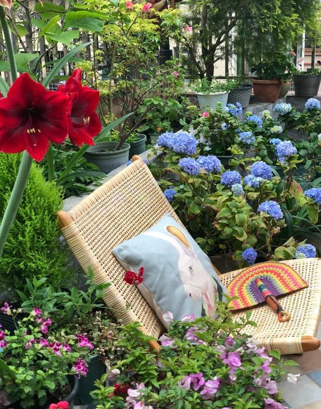 小区一户人家，院子里种的花太美了，大家见了都说真想搬进去住休闲区蓝鸢梦想 - Www.slyday.coM