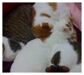 女子上班忘了关电热毯,火急火燎赶回家,推门一看:真是瞎操心休闲区蓝鸢梦想 - Www.slyday.coM 女子上班忘了关电热毯,火急火燎赶回家,推门一看:真是瞎操心休闲区蓝鸢梦想 - Www.slyday.coM