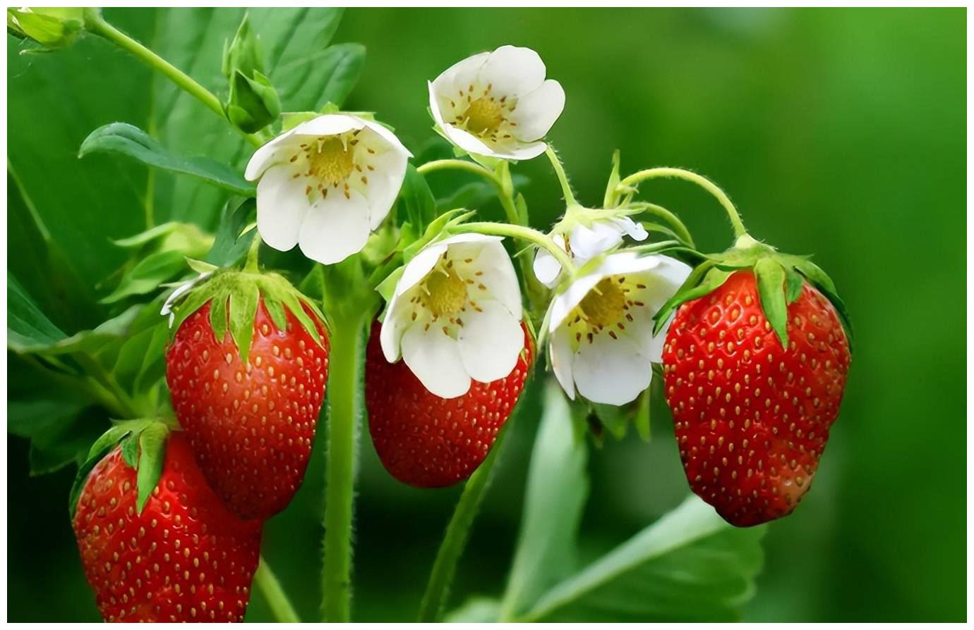 在接下来的30天里,4星座将迎来好运、事业兴旺、爱情甜蜜休闲区蓝鸢梦想 - Www.slyday.coM 在接下来的30天里,4星座将迎来好运、事业兴旺、爱情甜蜜休闲区蓝鸢梦想 - Www.slyday.coM