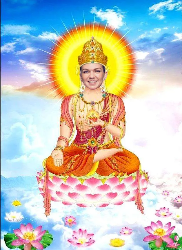 wta活菩萨哈勒普成就不少姑娘的梦想|科内特|哈勒普|活菩萨_新浪新闻