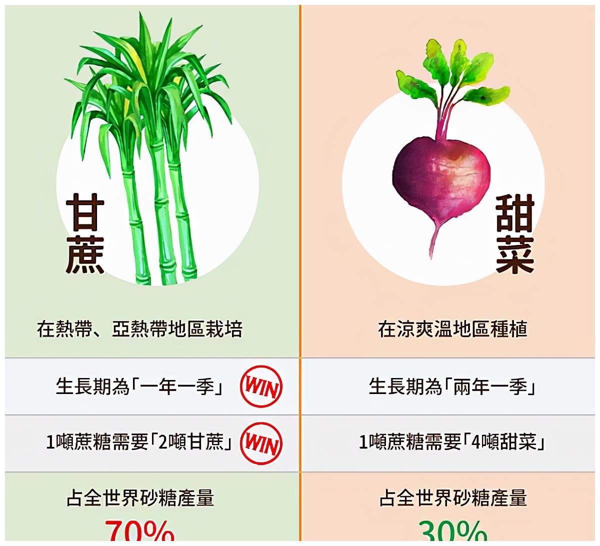 工人为啥要往水泥里面撒糖 白糖能够阻碍水泥发硬 这是真的吗 硅酸钙 甘蔗 甜菜 新浪新闻