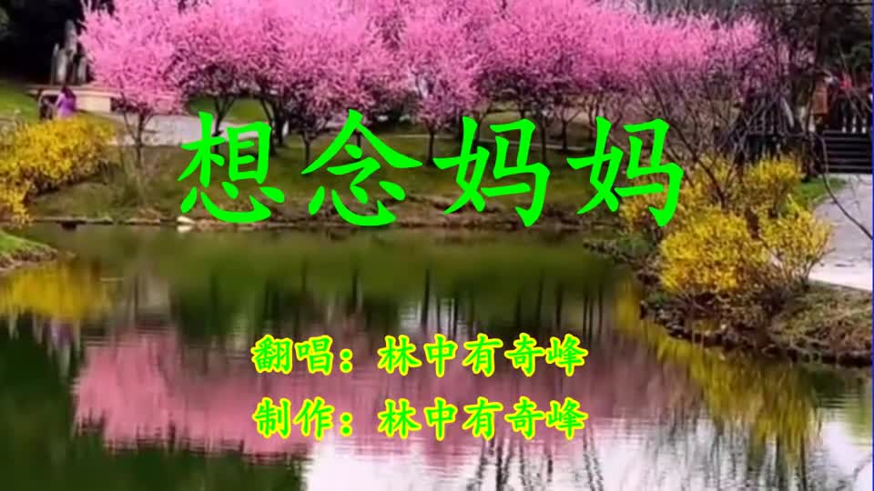 一曲《一曲想念妈妈》视频歌曲