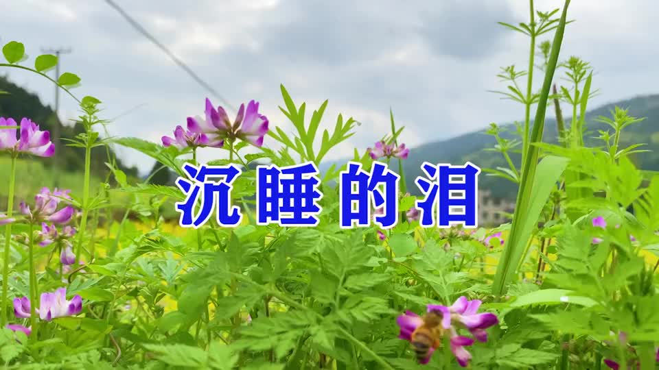 一首dj情歌《沉睡的泪》好听入心!我不会再哭!
