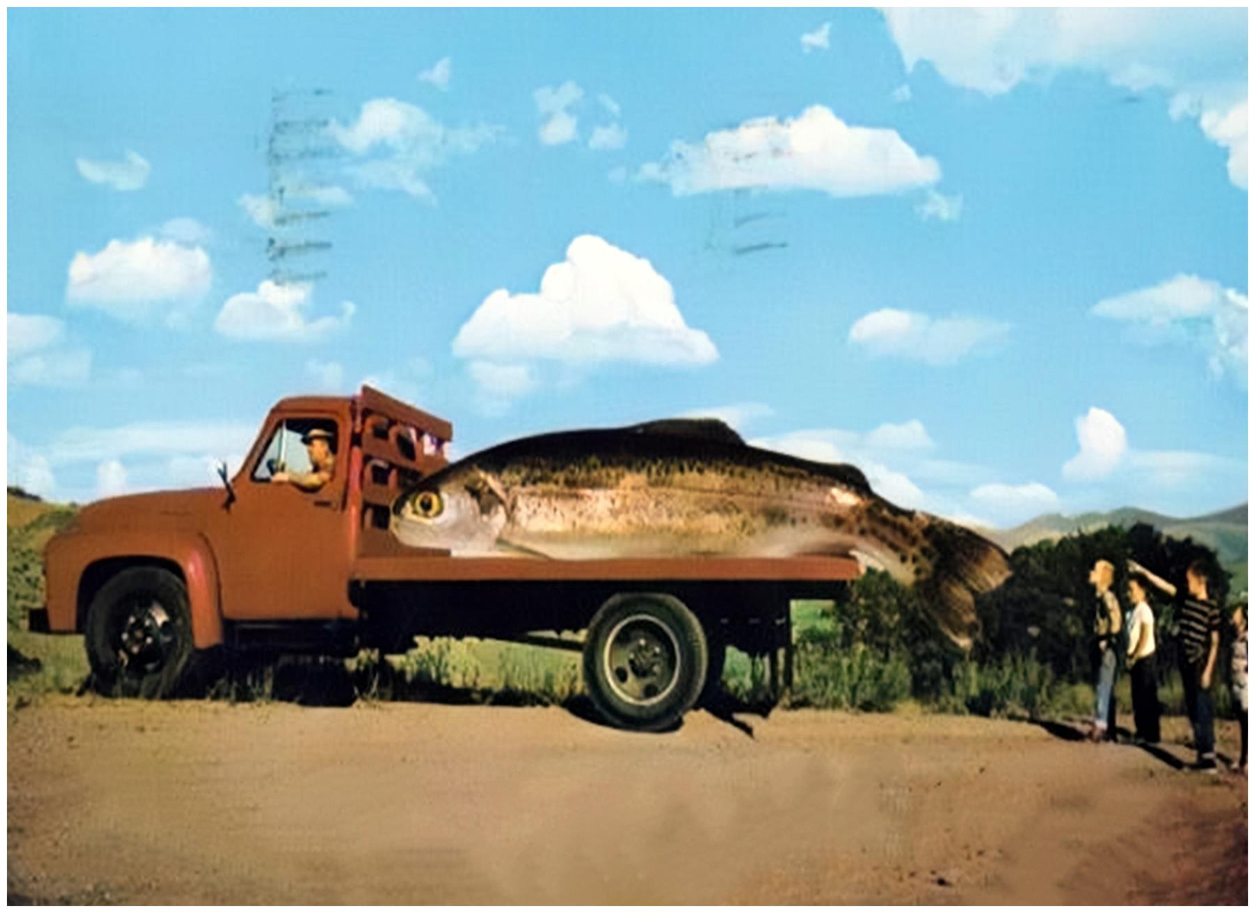 100年前美国的"浮夸风"宣传:母鸡比骆驼还大,一颗玉米三米长