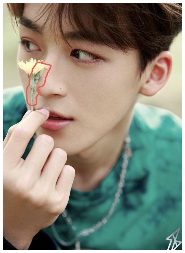 r1se成员微博粉丝排名_新媒体排行R1SE成员微博粉丝排行