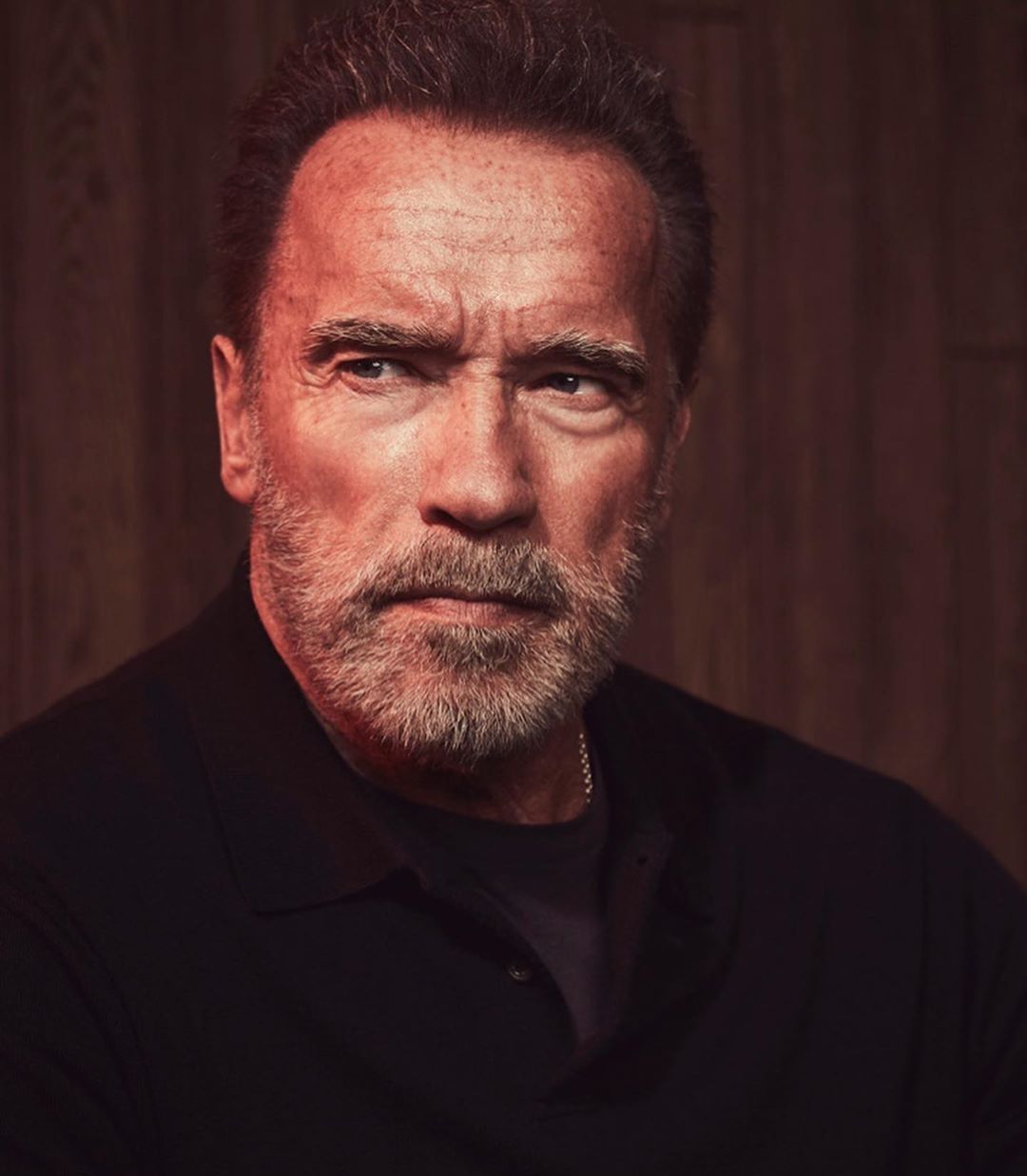 施瓦辛格2019写真复习 时间刻画了男人坚毅的面容和内心_高清图集