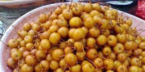 南方的一种怪水果,又苦又涩没人吃,到了潮汕,孩子和鸟抢着吃休闲区蓝鸢梦想 - Www.slyday.coM 南方的一种怪水果,又苦又涩没人吃,到了潮汕,孩子和鸟抢着吃休闲区蓝鸢梦想 - Www.slyday.coM