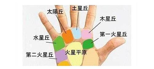 怎么看手相有几个孩子（手相怎么看有几个孩子图解）