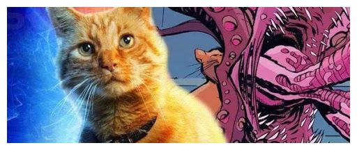 破案了,1979年经典《异形》中那只猫,原来有这样的含义在