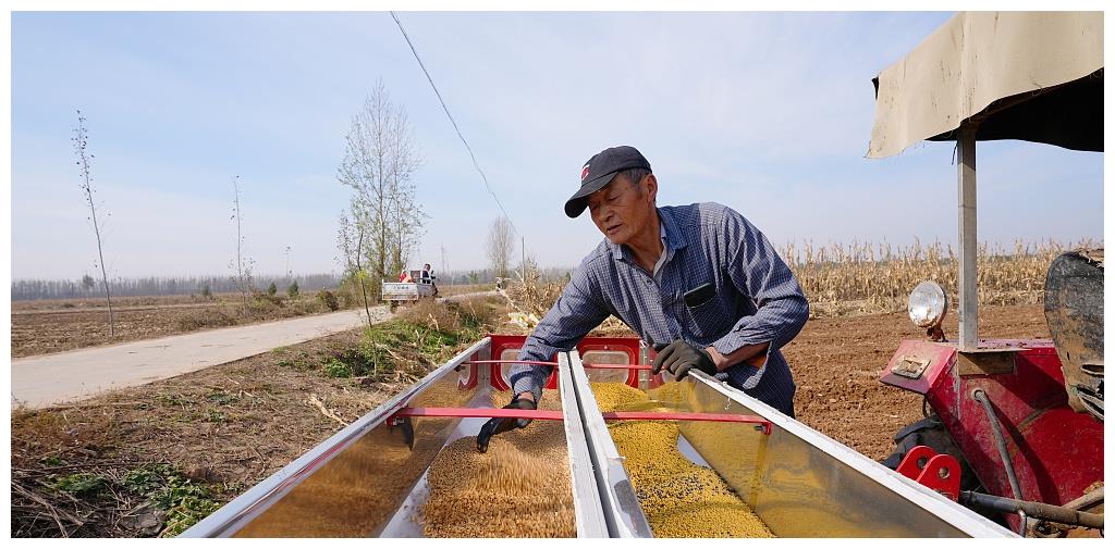 河北邢台：农民抢播冬小麦