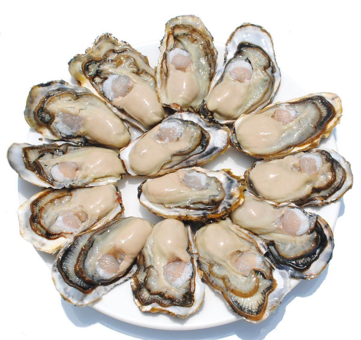 蒜蓉蒸生蚝是我吃过的最好方法_高清图集_新浪网