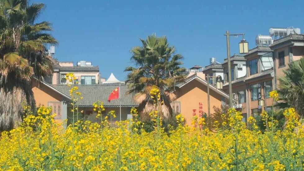 华晨宇演唱会现场官宣：已拿下三块地！当地回应