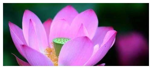 十月尾贵人扶持,走十年难遇大运,财运如火如荼,日子顺遂的属相休闲区蓝鸢梦想 - Www.slyday.coM 十月尾贵人扶持,走十年难遇大运,财运如火如荼,日子顺遂的属相休闲区蓝鸢梦想 - Www.slyday.coM