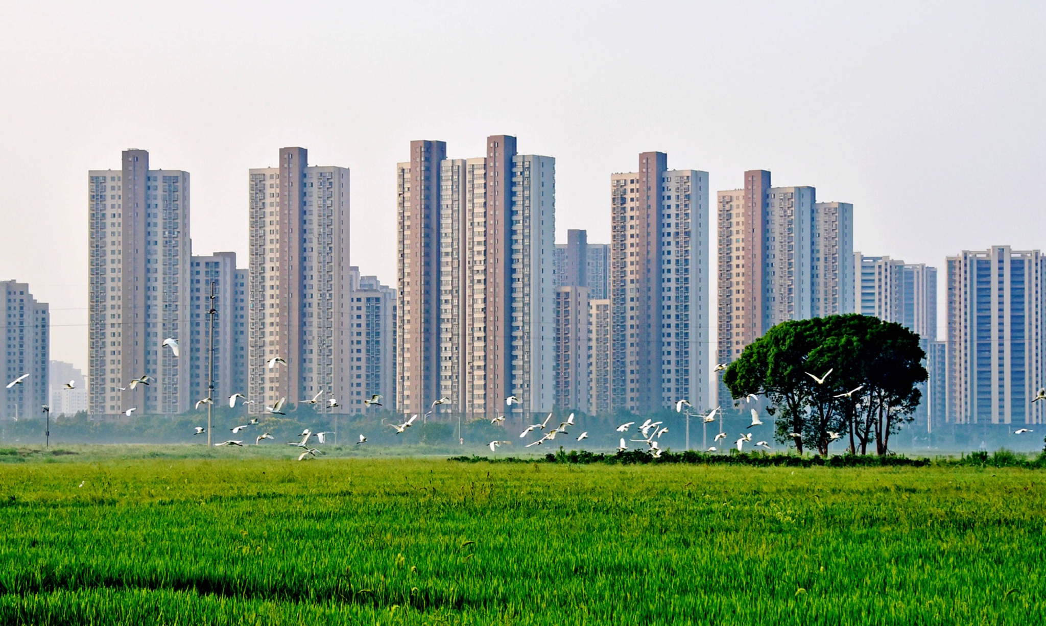 清晨东北塘一瞥,2022年09月06日,江苏无锡锡山区东北塘街道.