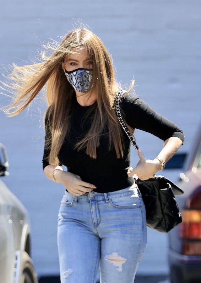 1 / 6 洛杉矶,索菲娅·维加拉(sofia vergara)街拍.