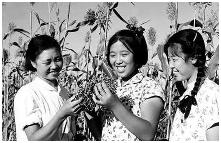 1958年9月,作为知青,邢燕子正式下乡插队,她下乡的地方是自己的老家