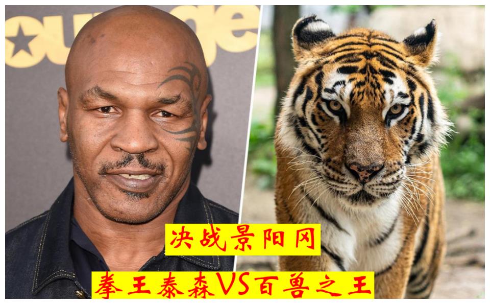 巅峰时期的拳王泰森上景阳冈能否活着回来