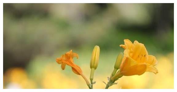 很在乎“个人隐私”的星座，即使是恋人，也不会轻易吐露休闲区蓝鸢梦想 - Www.slyday.coM