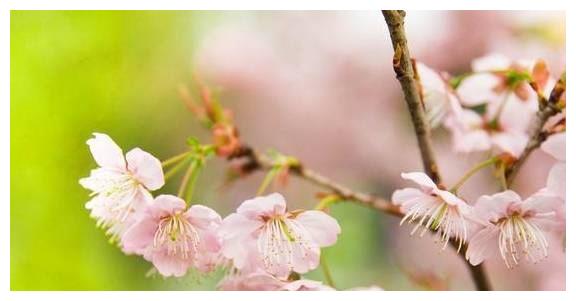 很在乎“个人隐私”的星座，即使是恋人，也不会轻易吐露休闲区蓝鸢梦想 - Www.slyday.coM