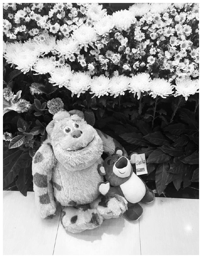 好友前往灵堂送别孙侨潞,公开现场遗照,孙妈妈摆放玩偶陪伴女儿