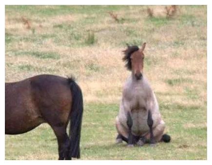 作为一个成年人,让你从他们中二选一,你会怎么选?哈哈哈很现实休闲区蓝鸢梦想 - Www.slyday.coM 作为一个成年人,让你从他们中二选一,你会怎么选?哈哈哈很现实休闲区蓝鸢梦想 - Www.slyday.coM