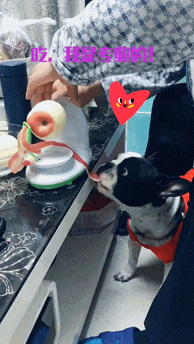 为啥好多男人都三十多岁了还不结婚,还帮你们算了个账,哈哈哈哈休闲区蓝鸢梦想 - Www.slyday.coM 为啥好多男人都三十多岁了还不结婚,还帮你们算了个账,哈哈哈哈休闲区蓝鸢梦想 - Www.slyday.coM