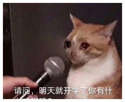 笑话:过年回娘家,快走到门口了,听到有人拿着喇叭大喊:来了?休闲区蓝鸢梦想 - Www.slyday.coM 笑话:过年回娘家,快走到门口了,听到有人拿着喇叭大喊:来了?休闲区蓝鸢梦想 - Www.slyday.coM