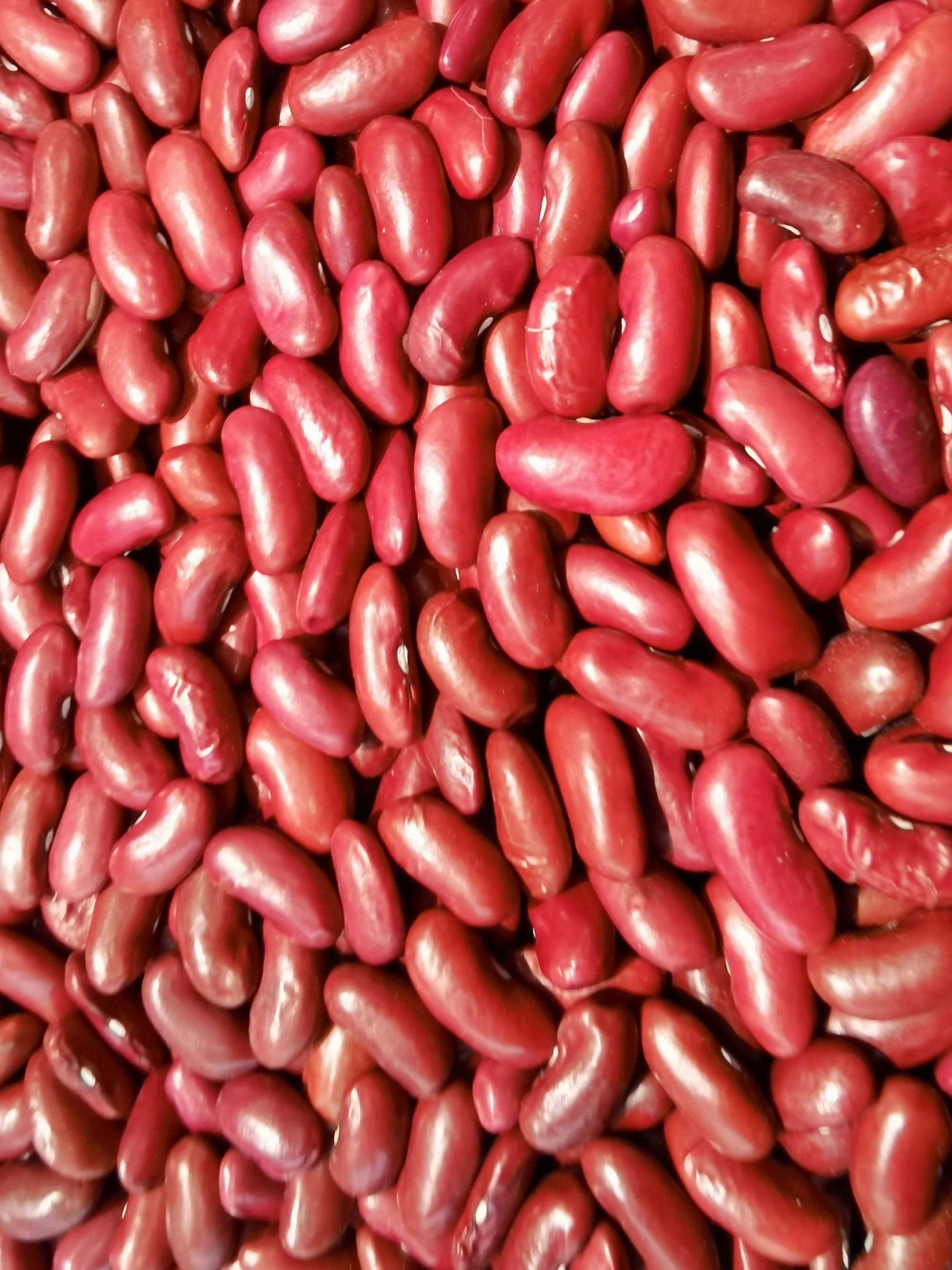 红芸豆原创拍摄