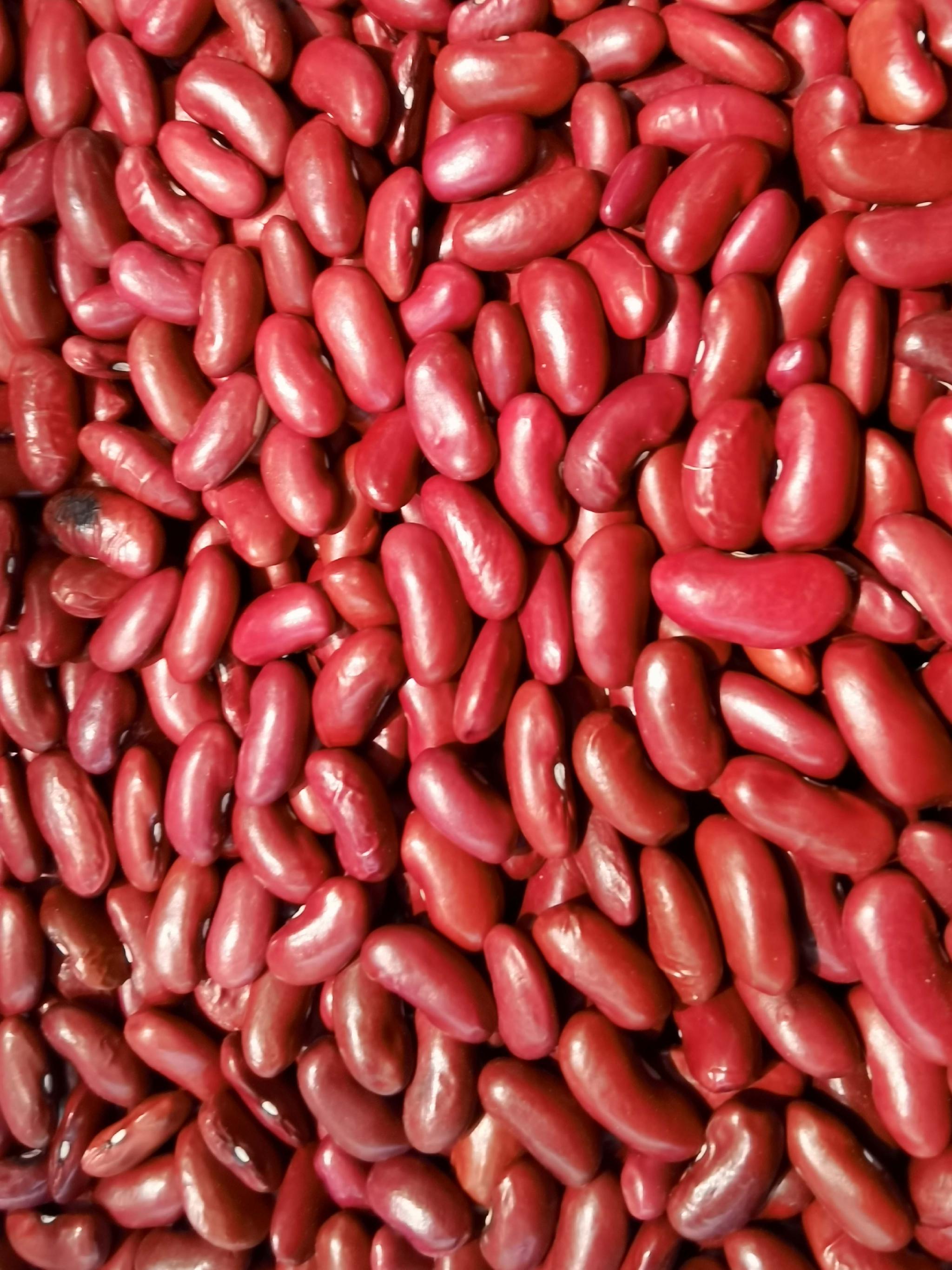 红芸豆原创拍摄