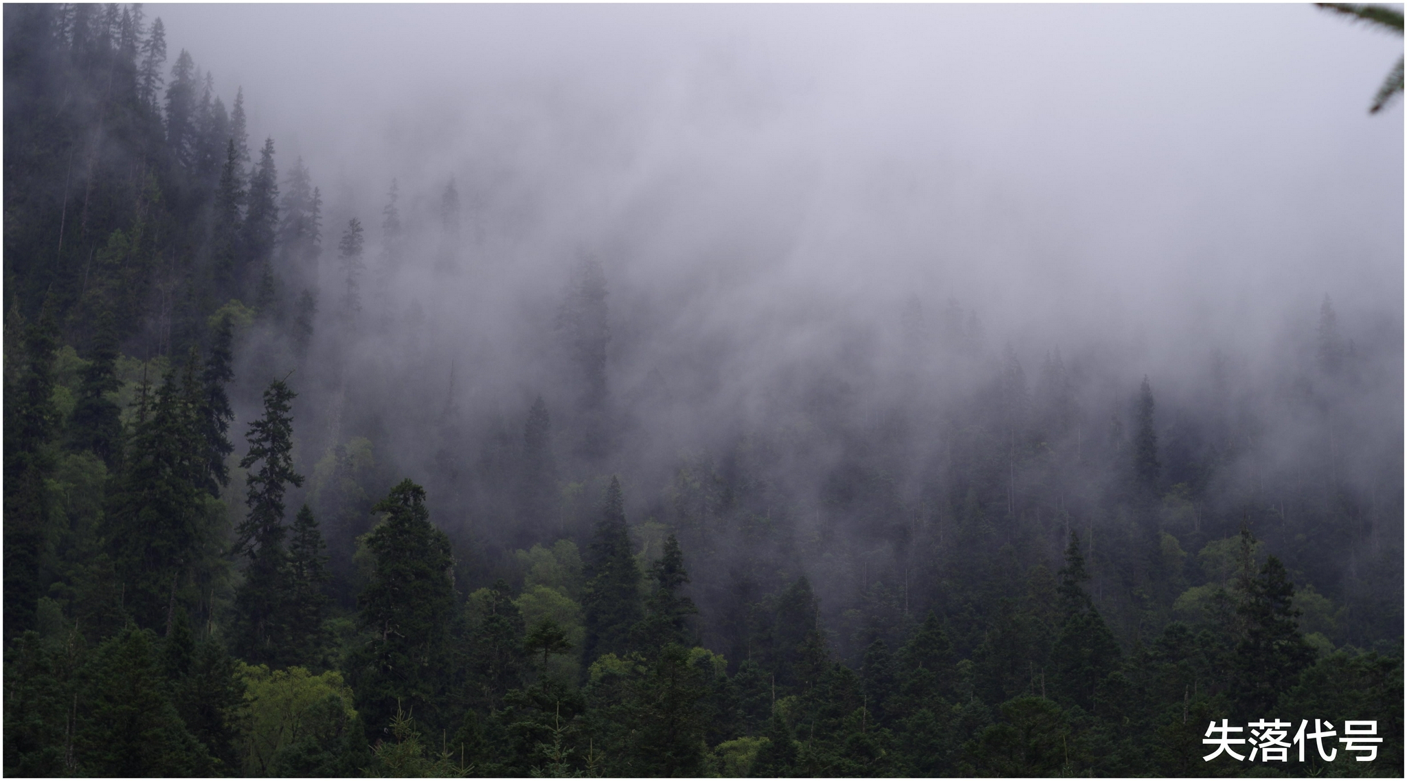 云南哀牢山失联地质人员携带了先进导航设备却没用,是什么原因?休闲区蓝鸢梦想 - Www.slyday.coM 云南哀牢山失联地质人员携带了先进导航设备却没用,是什么原因?休闲区蓝鸢梦想 - Www.slyday.coM