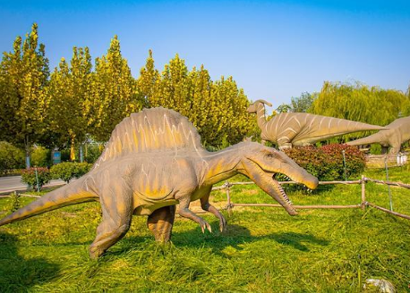 邯郸永年有一处游乐园,仿佛童话世界,深受游客喜爱