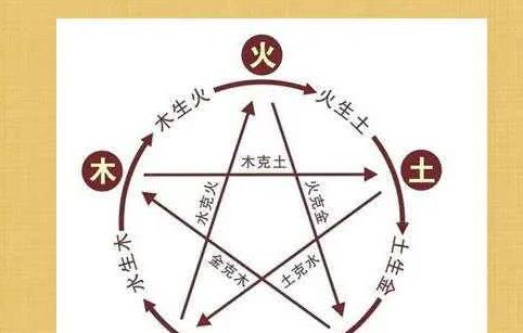 五行人的区分和特点，看看你属于哪一种|木型|五行|思想型_新浪新闻