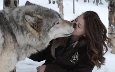 美女与狼玩耍时,感觉不对劲,接下来狼的举动让美女动都不敢动