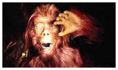 35年前的野人"猴娃",死后9年被开棺验尸,遗体为何保留至今?