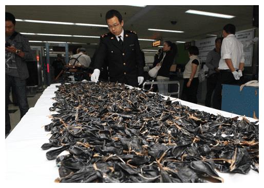 海关检查发现大量黑色布袋 你知道是什么吗