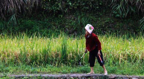 weather是什么意思（weather是什么意思英语）-85模板网