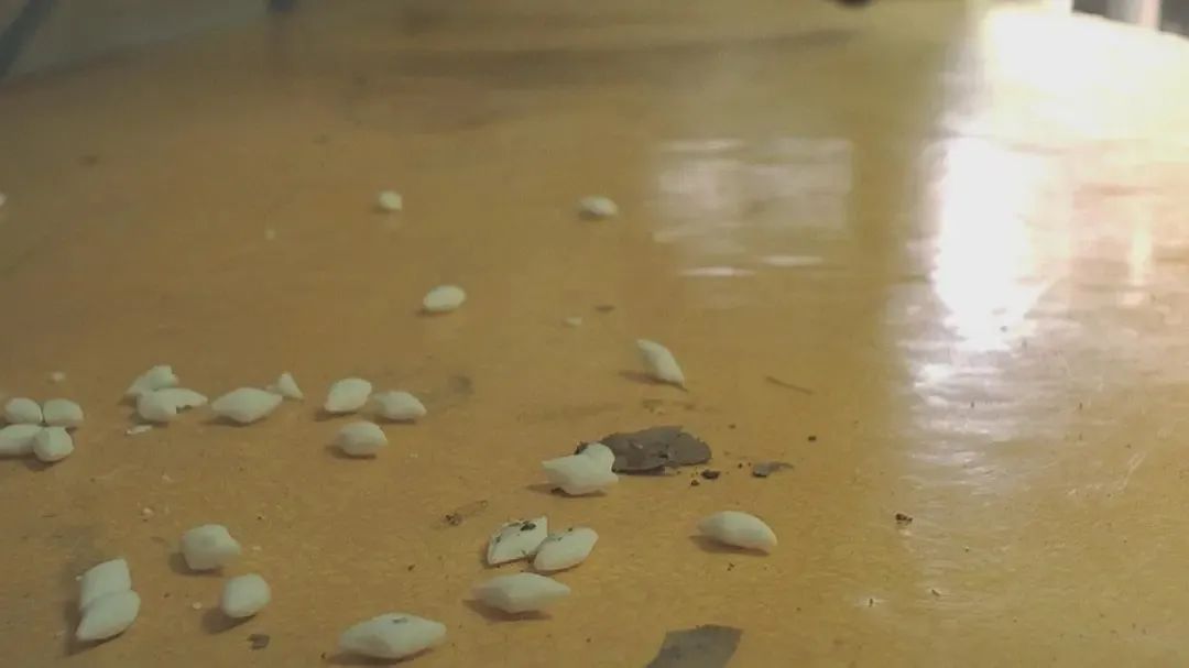 生命是美好的，对吧？<a href=