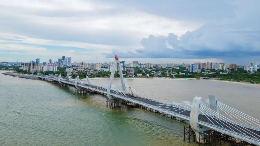 坦桑尼亚|跨海大桥|参建_新浪新闻
