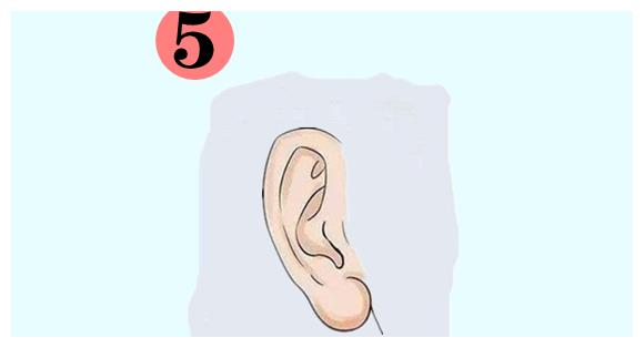 佛耳所谓佛耳就是耳朵长的贴脑,看上去比较大,长,肥,厚且有明显的,厚