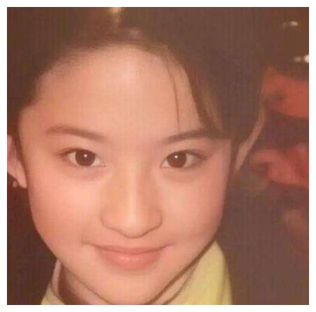 28岁生下刘亦菲为女儿放弃事业丢掉婚姻刘晓莉经历了什么