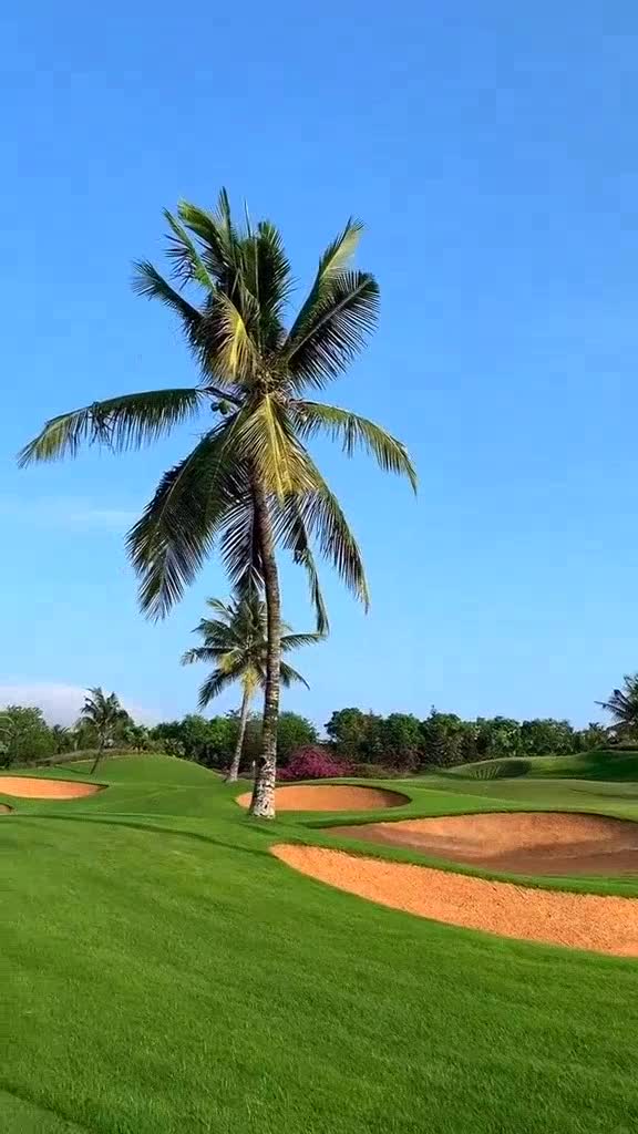 陈亦洺微风吹人美歌甜唱的太棒了
