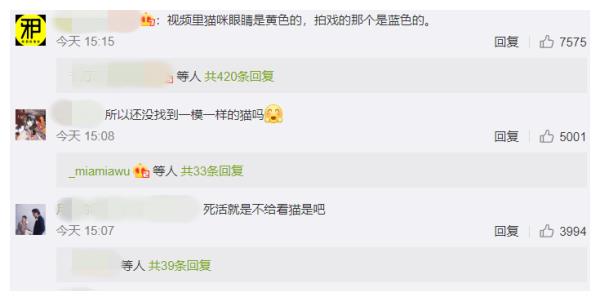 群演称猫被电死？当家主母剧组已报案休闲区蓝鸢梦想 - Www.slyday.coM