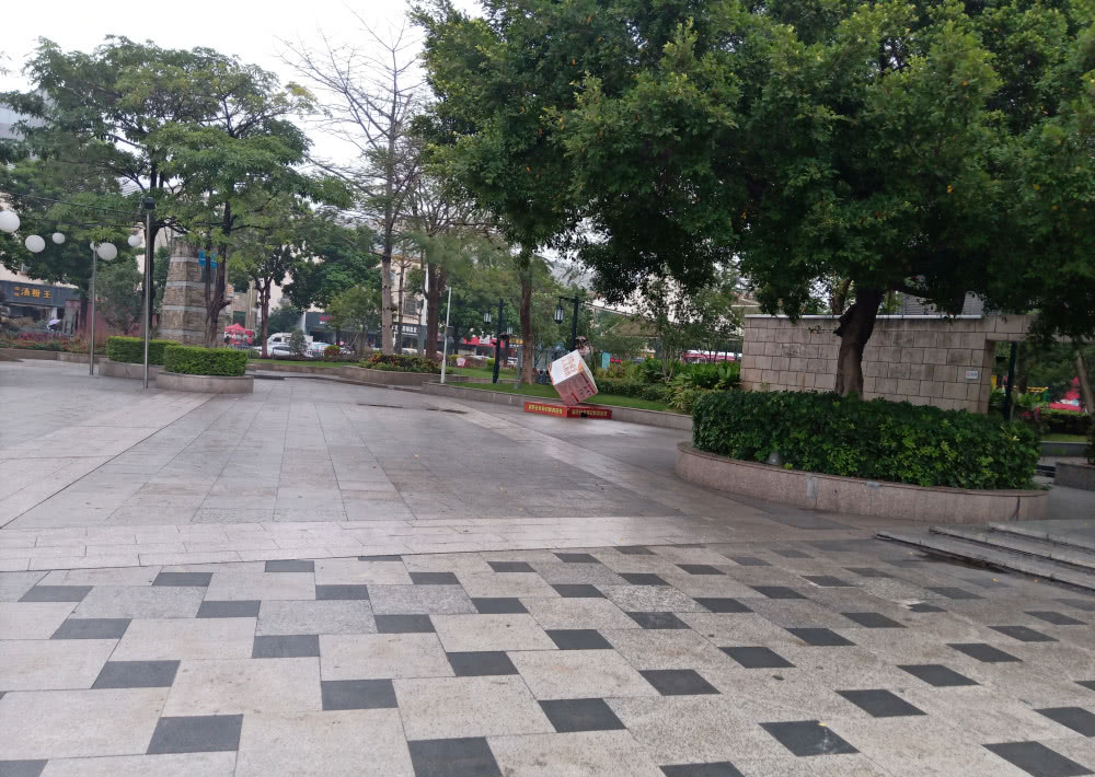 深圳龙华有个大浪大浪有个劳动者广场劳动者广场是大浪的福地
